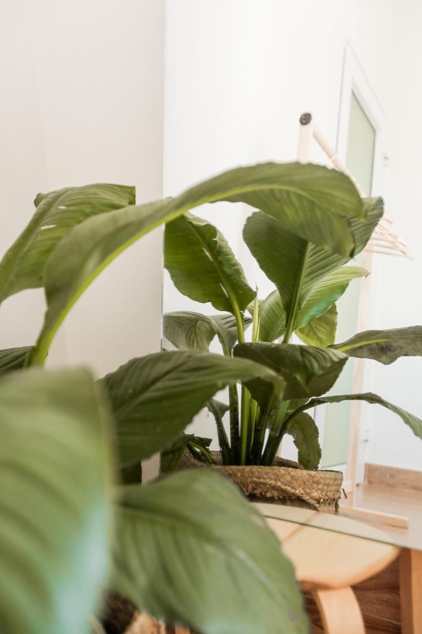 Bisou De La Riviere Apartment Hội An Ngoại thất bức ảnh